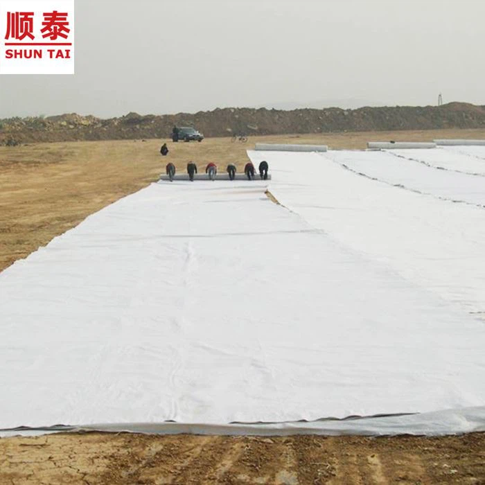 China Road construction geotextile